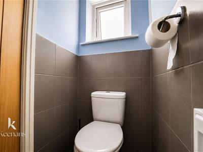 Picture 20